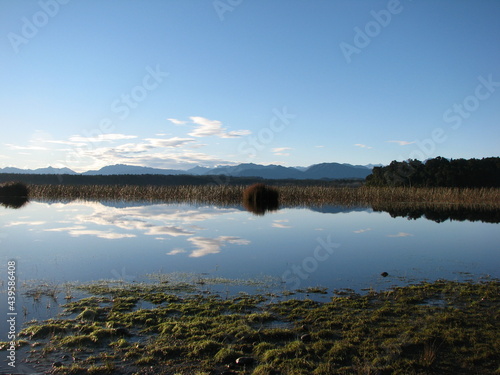 reflection of trees in water