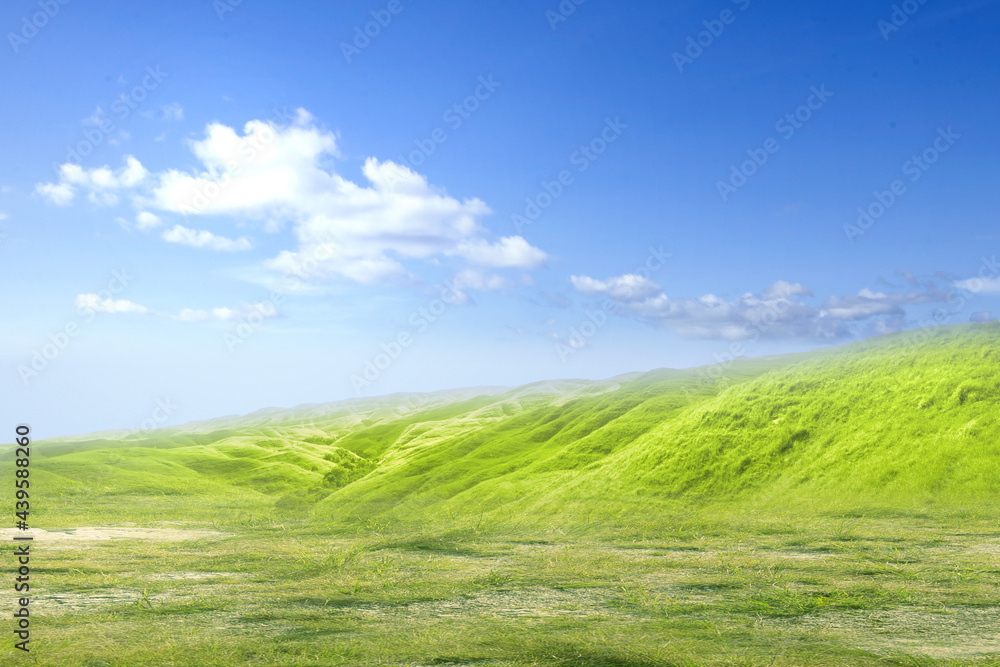 Meadow field