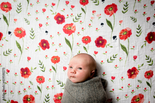 Face of alert baby girl on floral blanket photo