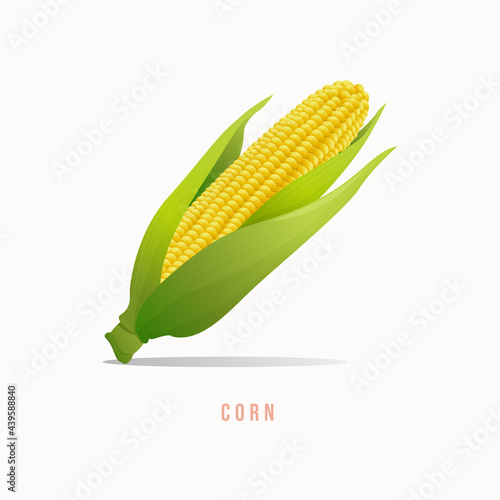 Corn Modern style vector illustration.