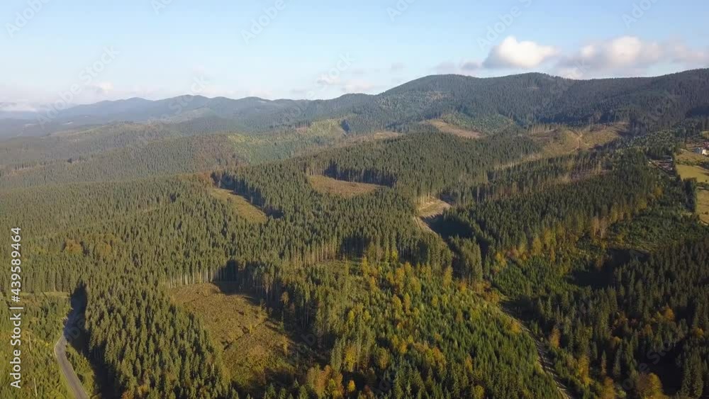Aerial view of mountain forest with bare deforestation areas of cut down trees.