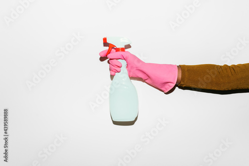 Woman Holding Cleaning Equipment