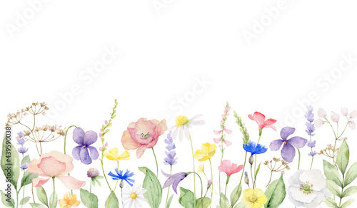 Watercolor vector banner of with wildflower flowers and leaves. photo