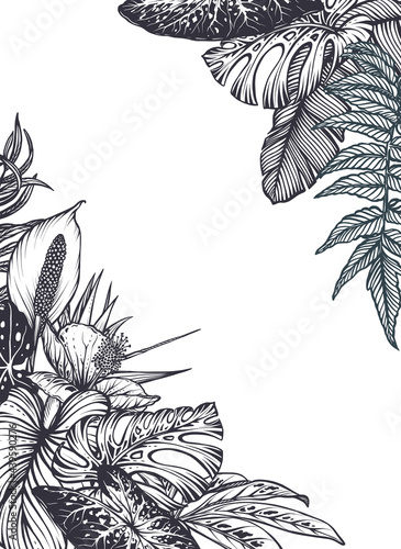 Vector frame with hand drawn tropical flowers, jungle palm, exotic leaves.