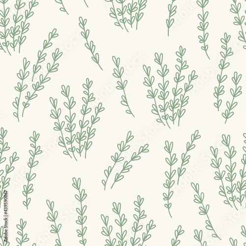 Seamless pattern with thyme on beige background. Contour vector illustration