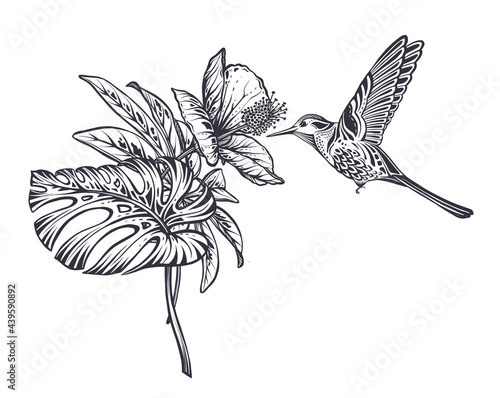 Vector composition with tropical flowers, hummingbird, jungle palm, exotic leaves.