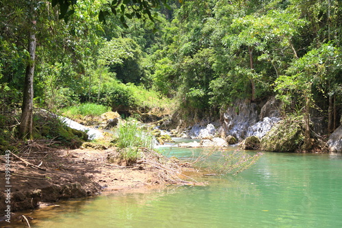 River in the forest. Cuba nature