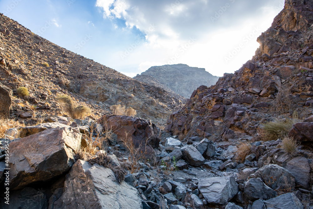 Obraz premium Stony, dry riverbed (wadi) with remains of raw ore of copper, green stones and rocks, Copper Hike Trail, Hatta, Hajar Mountains, UAE.