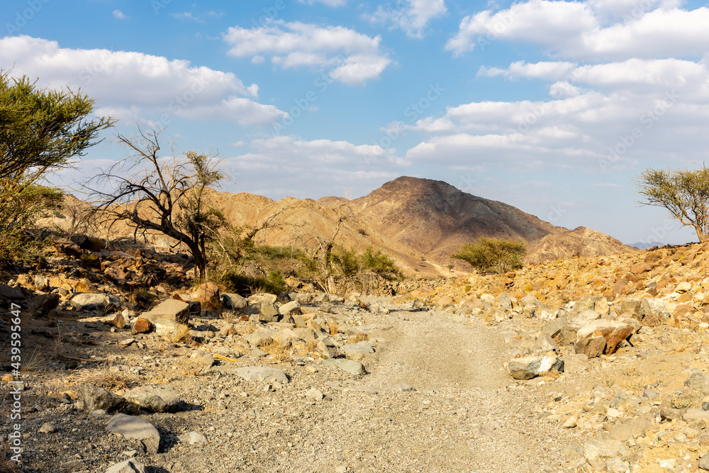 Copper Hike trail, winding gravel dirt road through Wadi Ghargur riverbed and rocky limestone Hajar Mountains in Hatta, United Arab Emirates.
