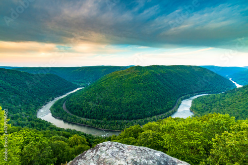 verdant forest in the New River Gorge National Park in West Virginia. photo