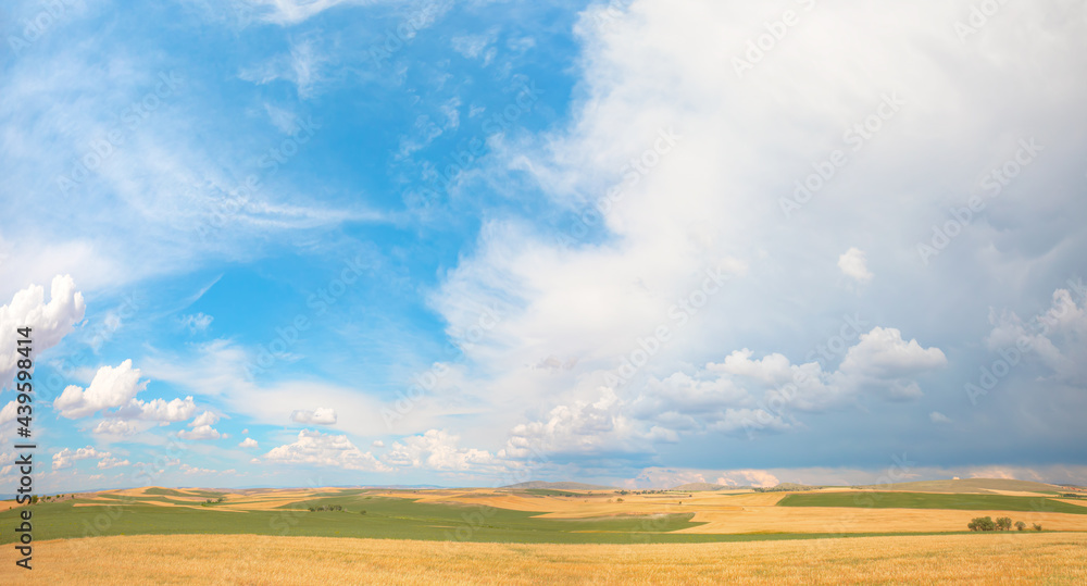 Beautiful summer landscape with wheat field and stormy clouds