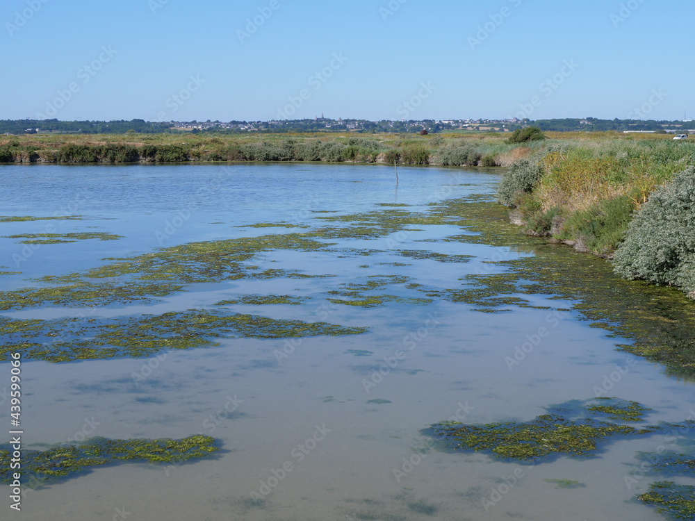 The landscape in the salt marshes in Guerande. June 2021, France.