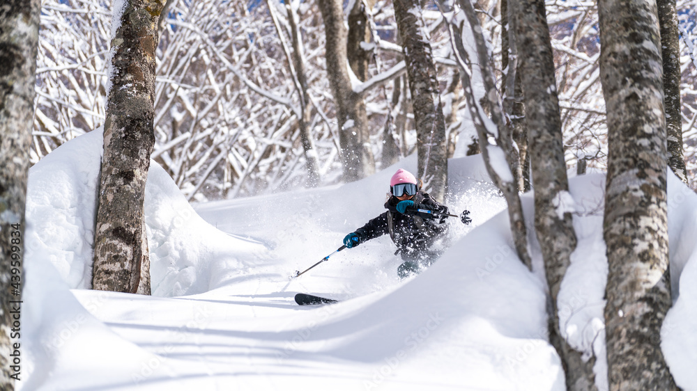 Skiing Skiing