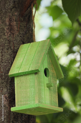 Green bird house on tree trunk outdoors