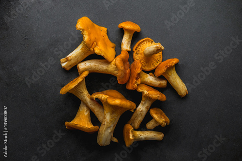 Mushrooms chanterelle on dark background