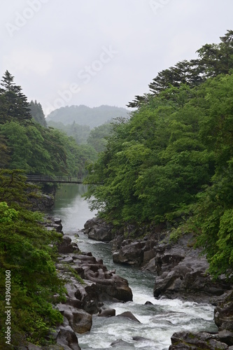 新緑の滝