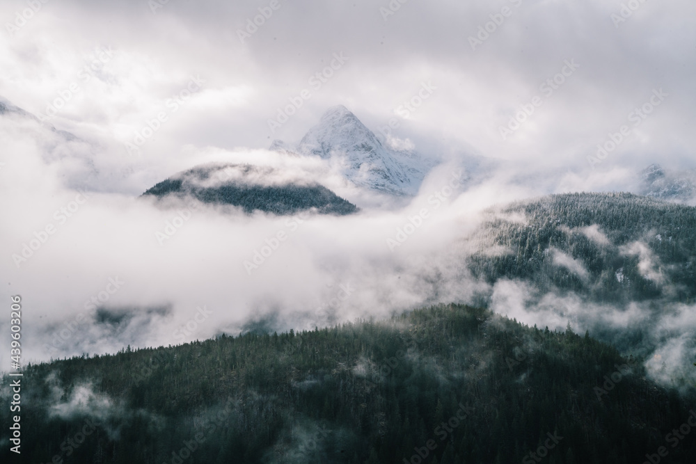 Cloudy sky over foggy mountainous terrain with coniferous forest