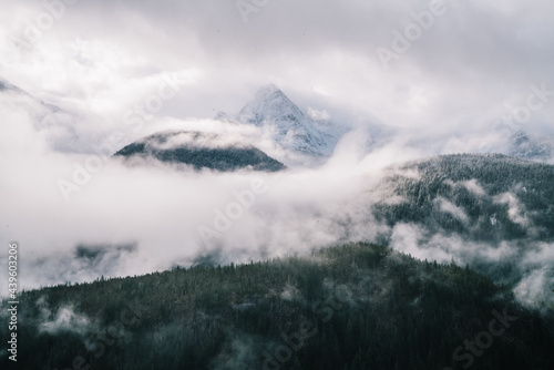 Cloudy sky over foggy mountainous terrain with coniferous forest