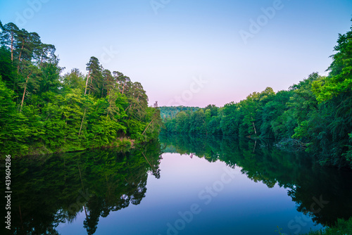 Germany  Magical reflection of green plants and trees in forest nature landscape of silent glassy water of baerensee lake in public park of stuttgart city at sunset