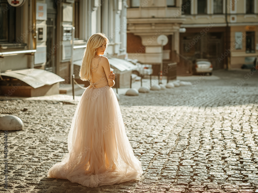 Obraz premium Portrait of an elegant pretty woman wearing grey wedding dress and posing