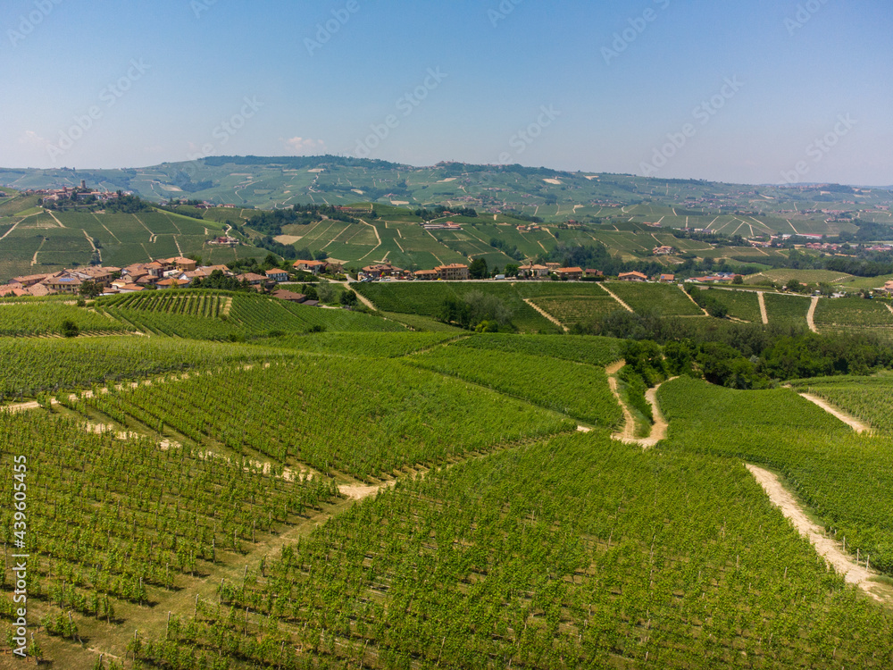 Hills between Serralunga and Castiglion Falletto, Piedmont - Italy