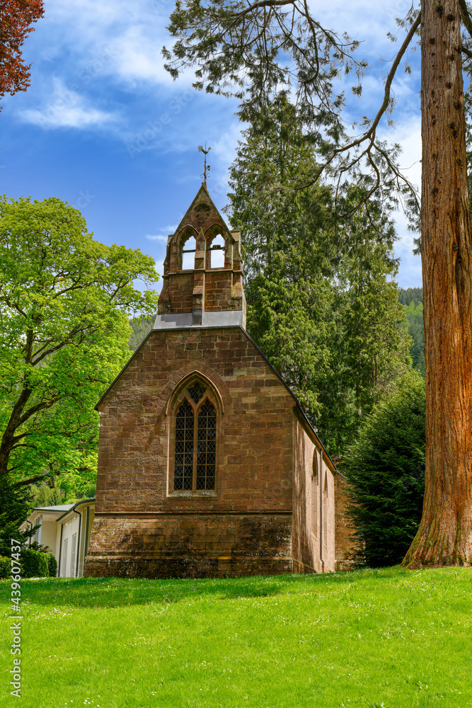 Englische Kirche und Mammutbaum (Sequoia) Bad Wildbad, Schwarzwald