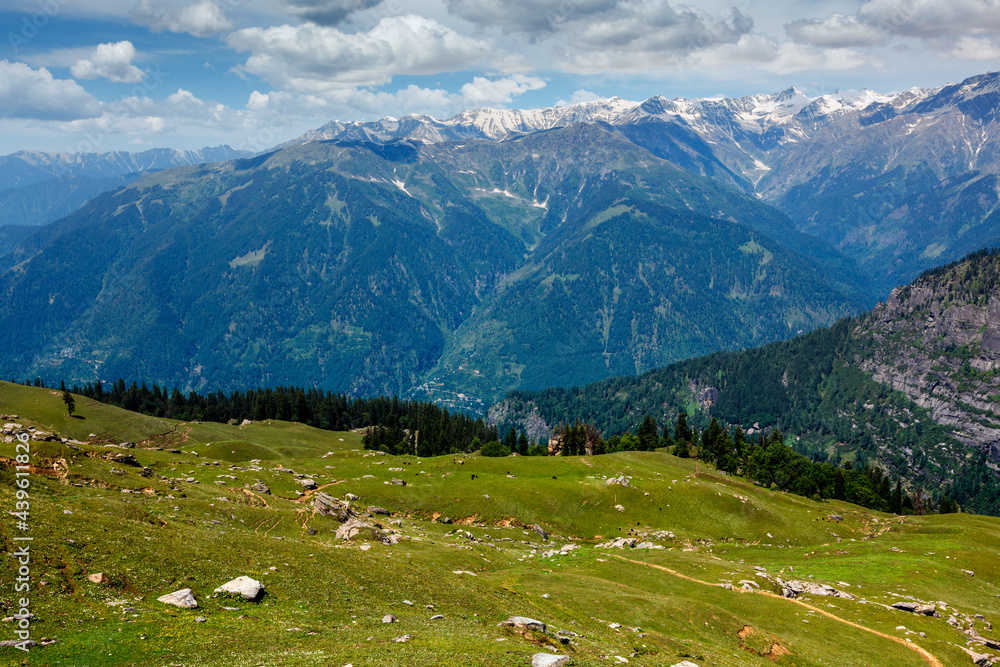 Spring in Kullu valley in Himalaya mountains. Himachal Pradesh, India