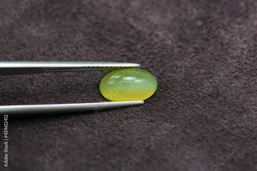 Natural mined oval cabochon shaped, polished lemon yellow color cat's eye optical effect rare loose chrysoberyl gemstone setting holded in tweezers for making unique jewelry. Brown leather background. photo
