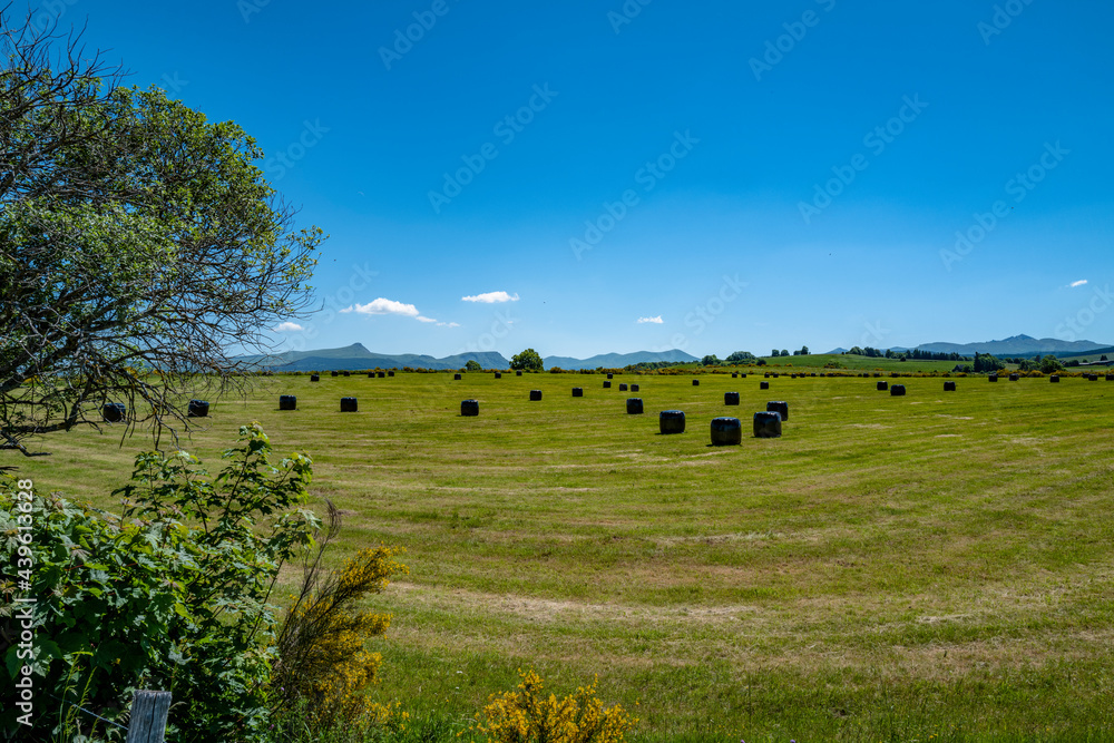 Fototapeta premium campagne auvergnate, chaine des puys, Bottes de paille enveloppé dans du polyéthylène noir