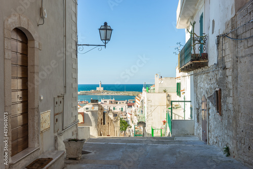 view of the lighthouse of Vieste and the old town, Italy Europe