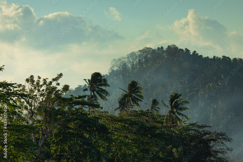 Fototapeta premium A landscape of clouds and sunset over the rainforests of Tangkoko National Park, seen from Batu Putih Beach, North Sulawesi, Indonesia