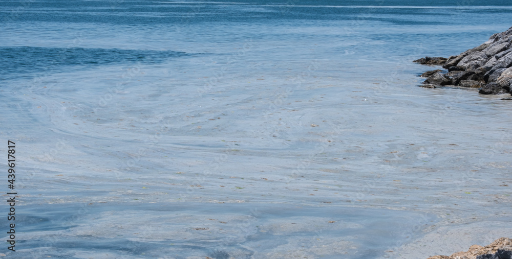 mucilage on the sea surface, istanbul, environmental disaster,