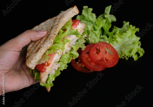 Tuna Sandwich with Vegetables on black background.  Suitable for breakfast.
