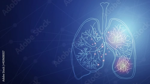 Human lung. lung damage from the corona virus Covid 19. The technology concept, Animation of human lungs.