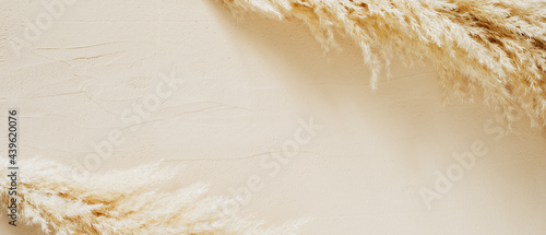 Foto Dried pampas grass Cortaderia on clay texture
