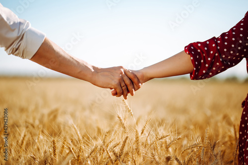 Close up outdoor portrait of couple holding hands in the wheat field. Golden wheat. A loving couple holding hands. Romance. Summer landscape.