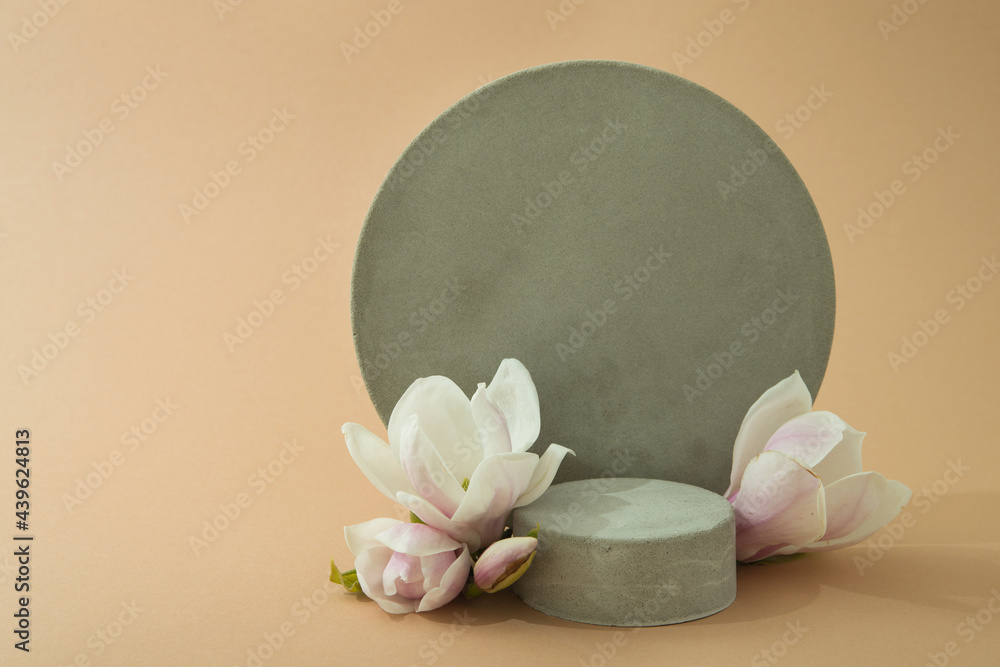 minimalist mockup with concrete shapes and magnolia blooming minimalist mockup with concrete shapes and magnolia blooming