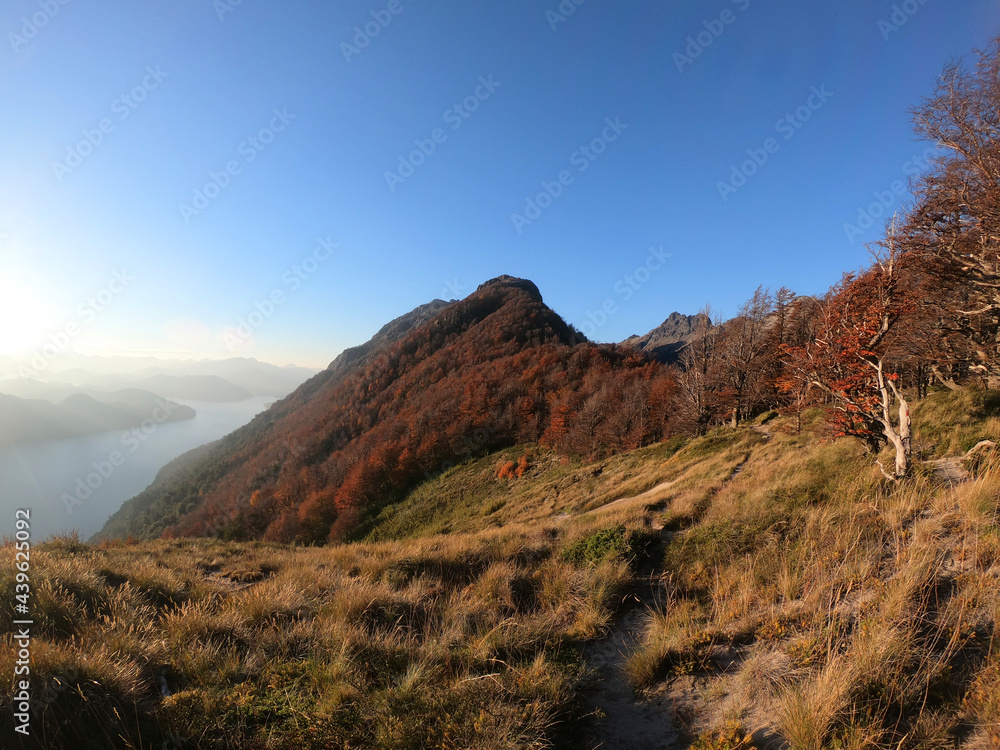 The valley and mountains at sunset. View of Lake Nahuel Huapi, the golden meadow, red forest, yellow grass and blue sky from the mountaintop at dusk. Beautiful autumn colors in the plants foliage. 