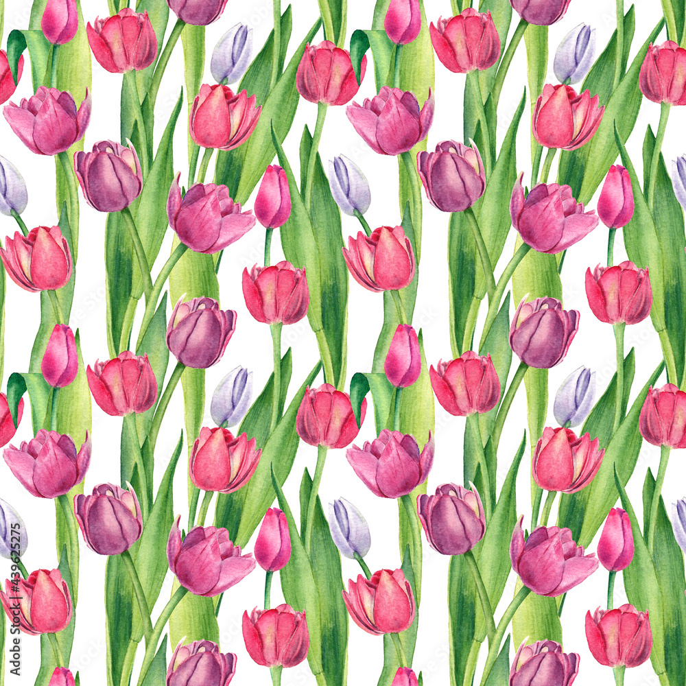 Seamless floral pattern with tulips. Watercolor flowers on white background