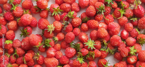  Ripe red strawberries as a background