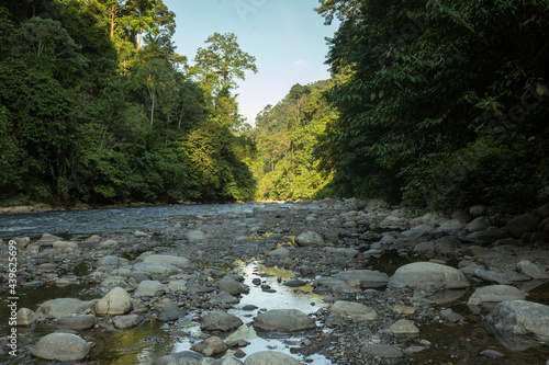The Bohorok River, with its fresh water stream, and the surrounding tropical jungle, in Gunung Leuser National Park, North Sumatra, Indonesia photo