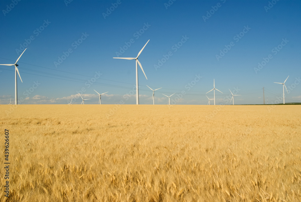 Panoramic view of green energy park at summer in Andalucia, Spain Panoramic view of green energy park at summer in Andalucia, Spain