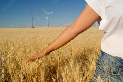 Young girl touching yellow wheat at summer in Andalucia,Spain