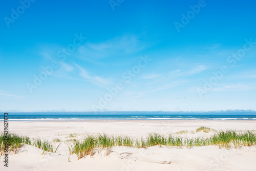 Dune and sea landscape with sea and helmgrass on Vlieland island in the Netherlands