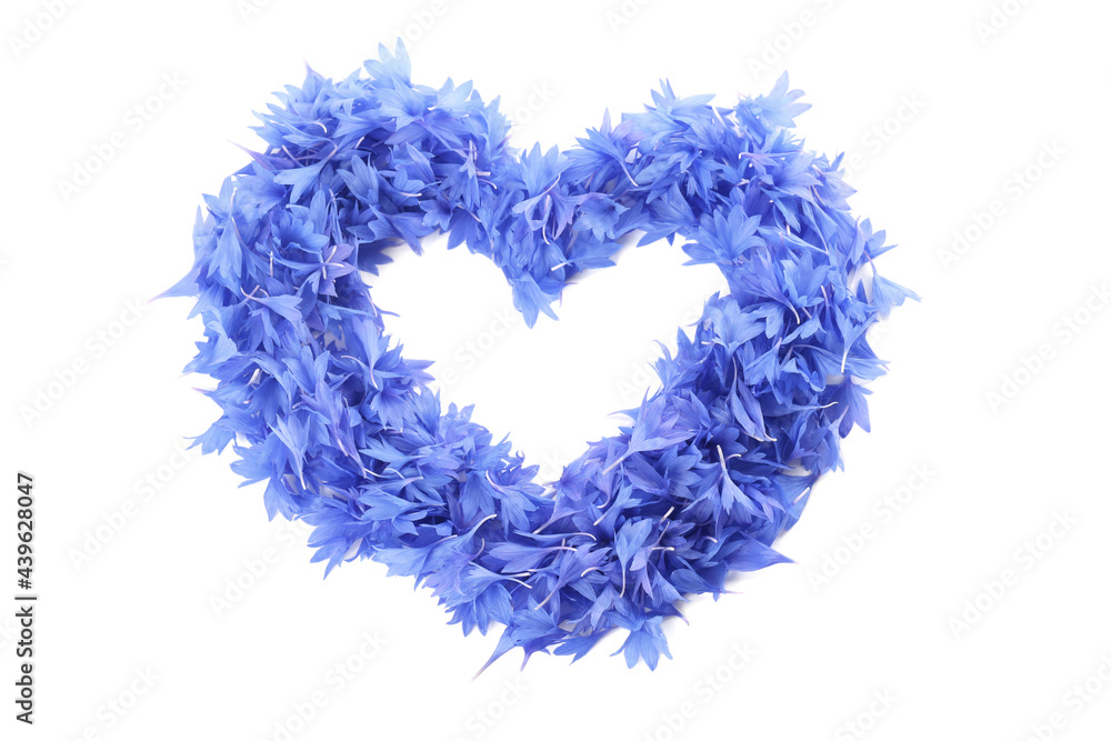 Heart made of beautiful cornflower petals isolated on white, top view