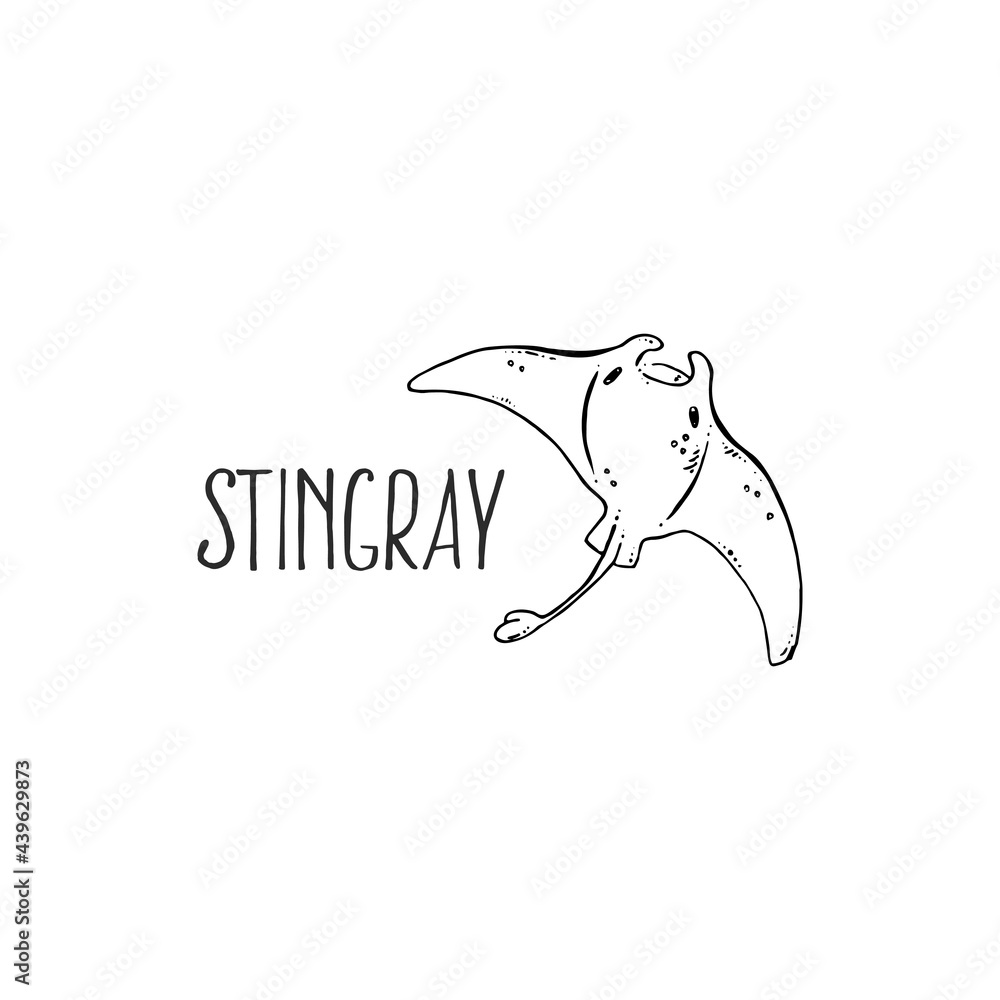Hand drawn vector sea stingray fish illustration