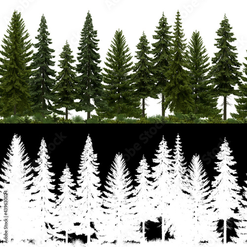 3D Render of Horizon Pine Trees Line in 4K available for loop. Tileable. For create Infinite Nature Background with alpha mask.