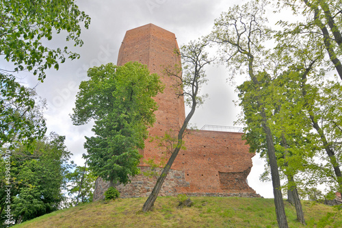 Mysia wieża na zamku w Kruszwicy photo