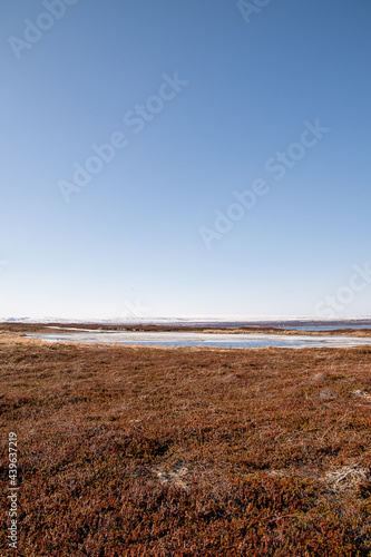 tundra and a lake
