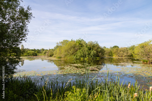 Fototapeta Naklejka Na Ścianę i Meble -  Summertime At Frisby Lakes / An image of the beautiful Frisby Lakes captured on a bright summer's morning at Frisby On The Wreake, Leicestershire, England, UK.